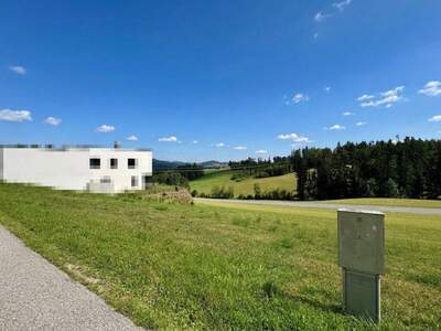 Grundstück kaufen in 4240 Waldburg