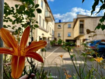 Gewerbeobjekt kaufen in 8750 Judenburg