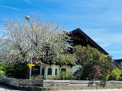 Wohnung provisionsfrei mieten in 6322 Kirchbichl