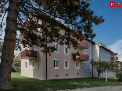 Wohnung mieten in 4910 Ried (Bild 1)