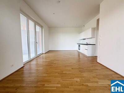 Terrassenwohnung mieten in 1030 Wien (Bild 5)