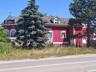 Immobilie kaufen in 2460 Bruck an der Leitha