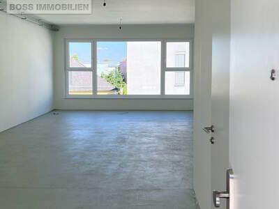 Gewerbeobjekt mieten in 4050 Traun (Bild 2)