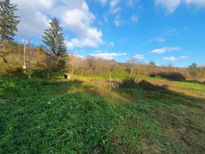 Grundstück kaufen in 2116 Niederleis