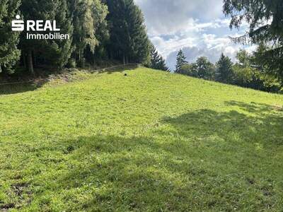 Grundstück kaufen in 8954 St. Martin (Bild 2)