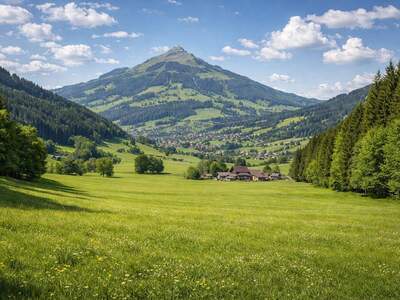 Gewerbeobjekt kaufen in 6361 Hopfgarten