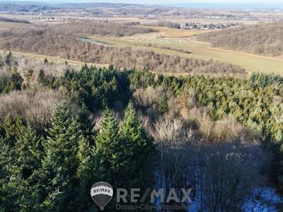 Jagd- und Forstwirtschaft kaufen in 3452 Atzenbrugg (Bild 2)