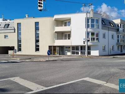 Wohnung mieten in 2482 Münchendorf