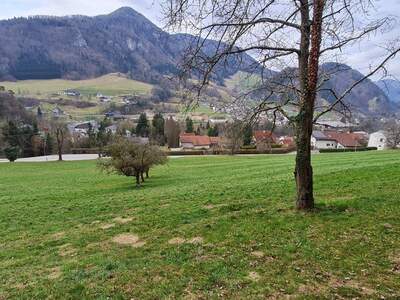 Grundstück kaufen in 4460 Losenstein (Bild 4)