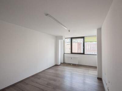 Gewerbeobjekt mieten in 1200 Wien (Bild 3)