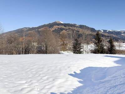 Grundstück kaufen in 6363 Westendorf