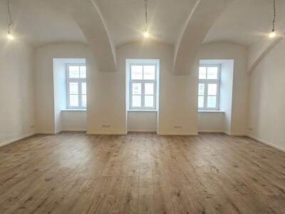 Gewerbeobjekt mieten in 1090 Wien (Bild 3)