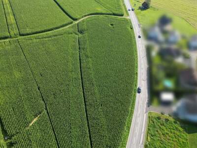 Gewerbeobjekt kaufen in 8421 Breitenfeld (Bild 4)