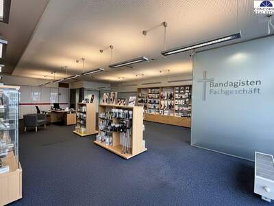 Gewerbeobjekt mieten in 1110 Wien (Bild 4)