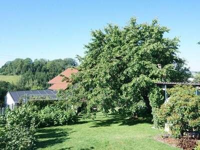 Haus kaufen in 4925 Pramet (Bild 4)