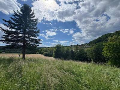 Grundstück kaufen in 8330 Feldbach