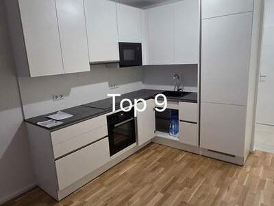 Terrassenwohnung mieten in 1170 Wien (Bild 4)