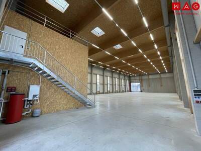 Halle mieten in 4020 Linz