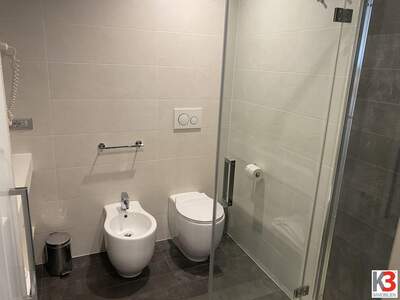 Gewerbeobjekt kaufen in 33010 Venzone (Bild 4)