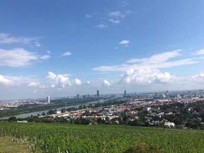 Grundstück provisionsfrei kaufen in 1190 Wien