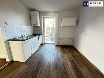 Terrassenwohnung kaufen in 8051 Graz (Bild 4)