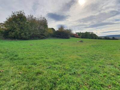 Grundstück kaufen in 7210 Mattersburg