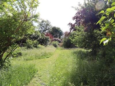 Haus kaufen in 2340 Mödling