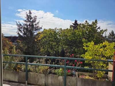 Wohnung mieten in 1100 Wien (Bild 2)