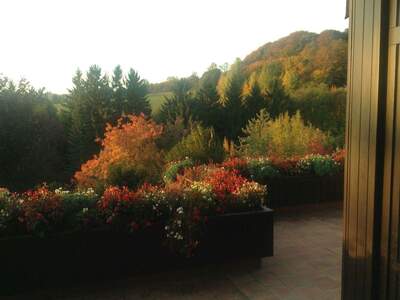 Haus mit Garten kaufen in 3032 Eichgraben (Bild 2)