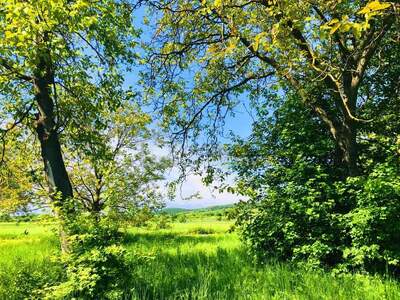 Grundstück kaufen in 7091 Breitenbrunn