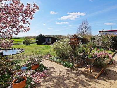 Haus kaufen in 7321 Lackendorf (Bild 3)