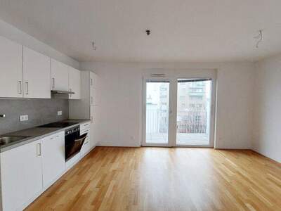 Terrassenwohnung mieten in 1120 Wien (Bild 1)