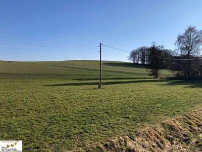 Gewerbeobjekt kaufen in 4941 Mehrnbach (Bild 2)