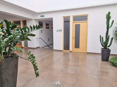 Gewerbeobjekt mieten in 4690 Schwanenstadt (Bild 2)