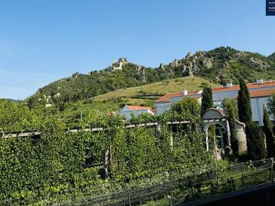 Gewerbeobjekt kaufen in 3601 Dürnstein (Bild 2)