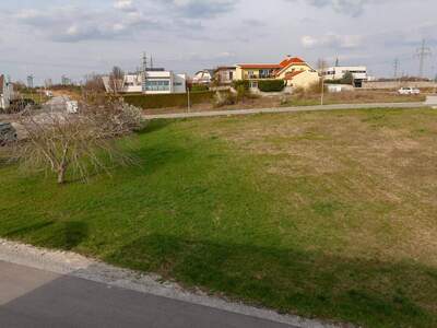 Grundstück kaufen in 7100 Neusiedl