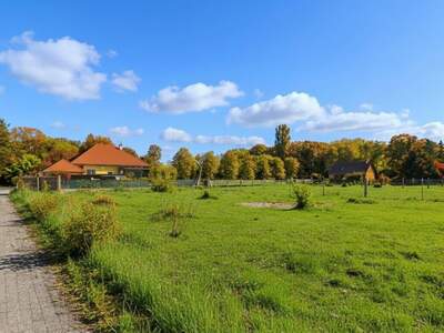 Anlageobjekt kaufen in 2493 Lichtenwörth