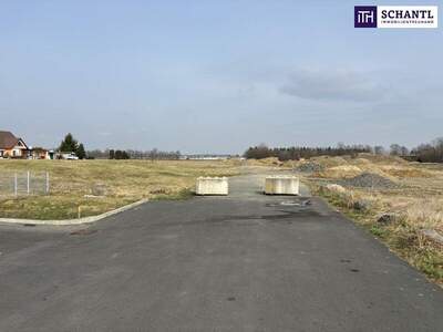 Grundstück kaufen in 8472 Vogau (Bild 2)