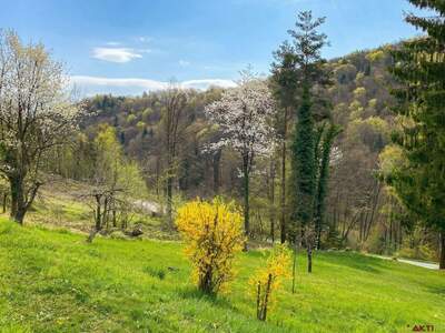 Grundstück kaufen in 8462 Kranach