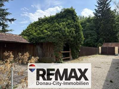 Grundstück kaufen in 3484 Grafenwörth (Bild 3)