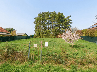 Grundstück kaufen in 7453 Steinberg