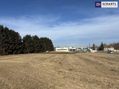 Grundstück kaufen in 8402 Werndorf (Bild 3)