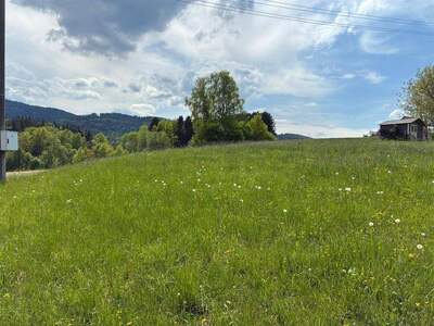 Grundstück kaufen in 4861 Aurach