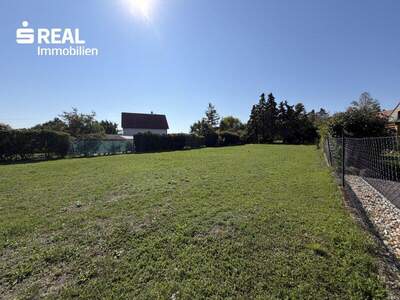 Grundstück kaufen in 2473 Potzneusiedl (Bild 3)