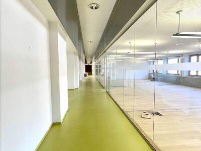 Gewerbeobjekt mieten in 1010 Wien (Bild 4)