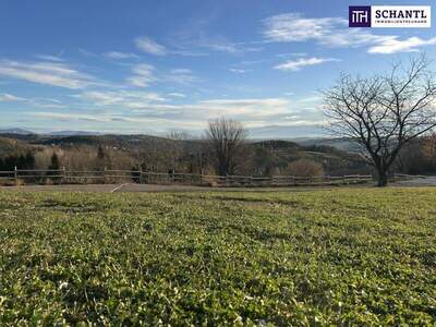 Grundstück kaufen in 8045 Weinitzen (Bild 4)