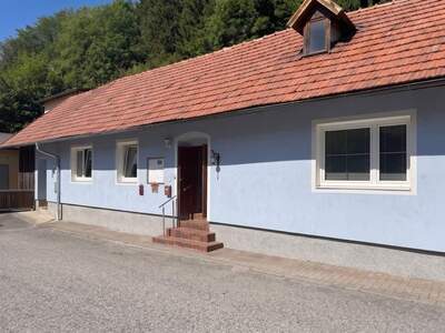 Haus kaufen in 2831 Scheiblingkirchen