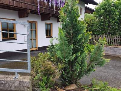 Wohnung provisionsfrei mieten in 6421 Rietz