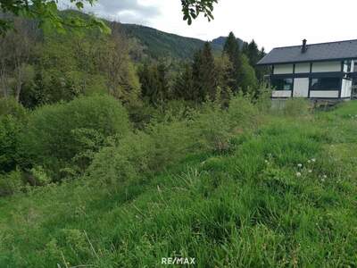 Grundstück kaufen in 8685 Steinhaus