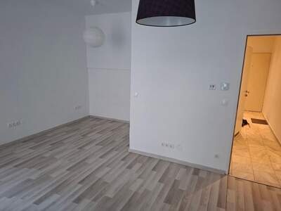 Altbauwohnung mieten in 1070 Wien (Bild 4)